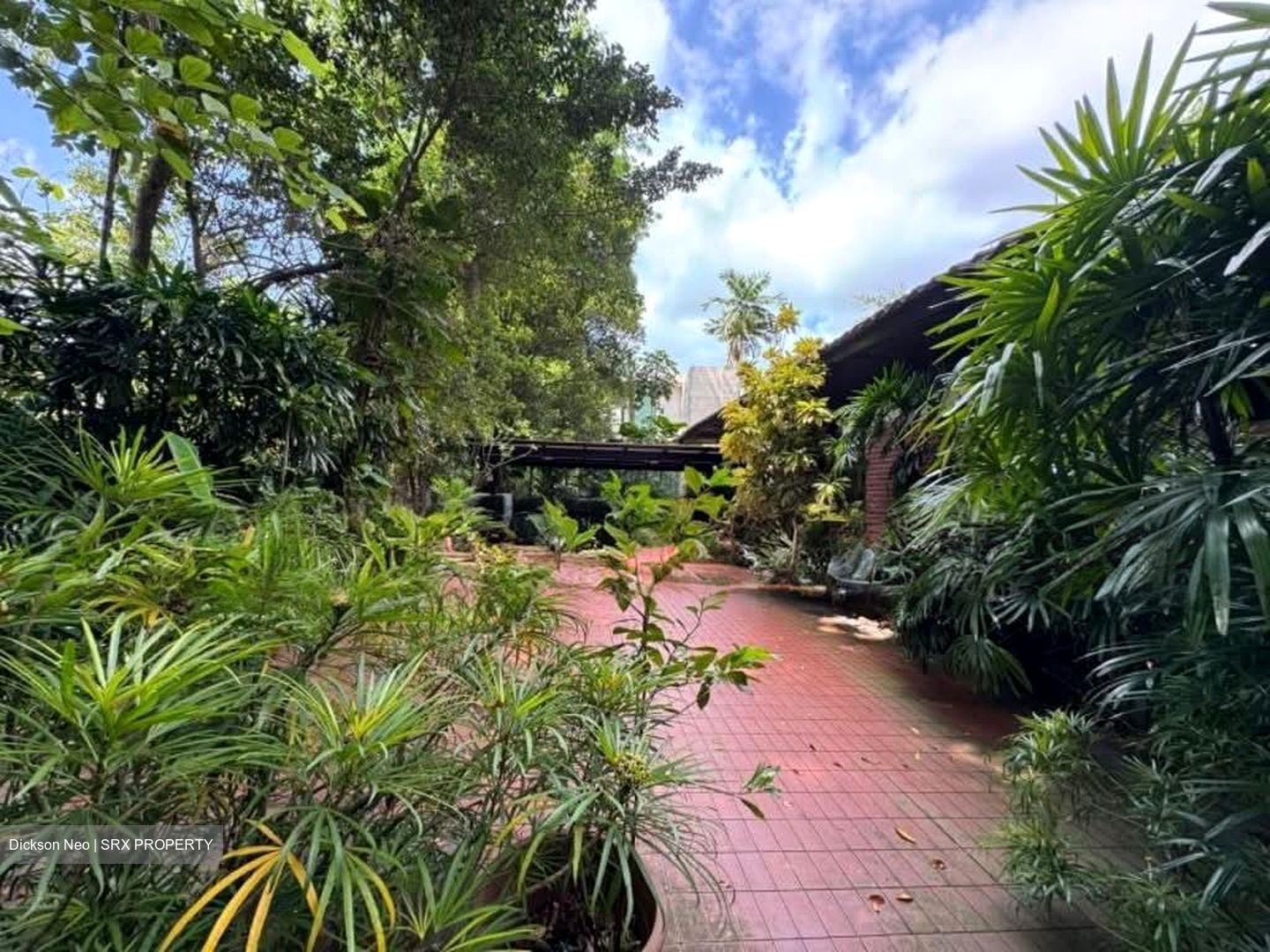 Nassim Road (D10), Detached #550116661